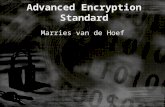 Advanced Encryption  Standard