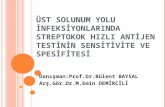 Danışman:Prof.Dr.Bülent BAYSAL Arş.Gör.Dr.M.Emin DEMİRCİLİ