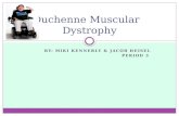 Duchenne Muscular   Dystrophy