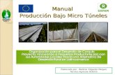 Manual  Producción Bajo Micro Túneles