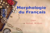 Morphologie  du Français