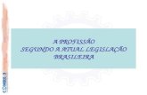 A PROFISSÃO SEGUNDO A ATUAL LEGISLAÇÃO BRASILEIRA