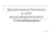Apoptosemechanismen und neurodegenerative Erkrankungen