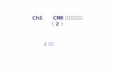 Ch5   CMR 和电子关联 （ 2 ）
