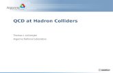 QCD at Hadron Colliders