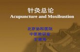 针灸总论 Acupuncture and Moxibustion
