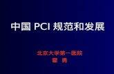 中国 PCI 规范和发展