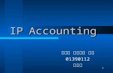 IP Accounting