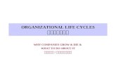 ORGANIZATIONAL LIFE CYCLES 组织的生命周期