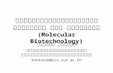 วิทยาศาสตร์พันธุกรรม ดีเอ็นเอ และ จีเอ็มโอ (Molecular Biotechnology)