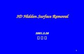 3D Hidden Surface Removal