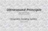 Ultrasound Principle 超音波原理