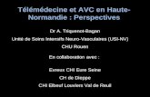 Télémédecine et AVC en Haute-Normandie : Perspectives