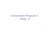 Component Program C  (Bag. 1)