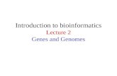 Introduction to bioinformatics Lecture 2 Genes and Genomes