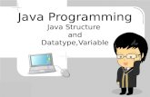Java Programming Java Structure  and Datatype,Variable