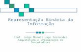 Representação Binária da Informação