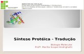 Síntese Protéica - Tradução