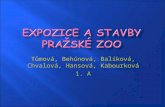 Expozice a stavby pražské zoo