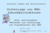 Vorhersage von RNA-Sekundärstrukturen