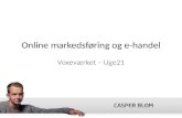Online  markedsføring og e-handel
