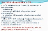 Sociální ekonomika v ČR  v ČR třetí sektor tradičně spojován s občanským    sektorem