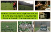 Renforcement des populations de lièvre brun ( Lepus europaeus ) dans le bassin franco-genevois