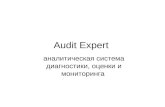 Audit Expert