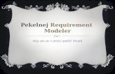 Pekelnej Requirement   Modeler