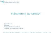 Håndtering av MRSA