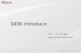 DDB introduce
