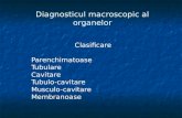 Diagnosticul macroscopic al organelor