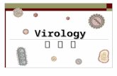 Virology 病 毒 学