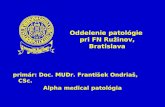Oddelenie patológie  pri FN Ružinov, Bratislava