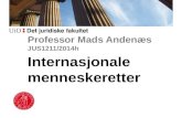 Professor Mads Andenæs JUS1211/2014h