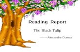 Reading  Report