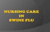 Nursing Care In Swine Flu