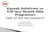 Kaynak Geliştirme ve STK’lara Yönelik Hibe Programları (AB ve  KA  Tecrübeleri)