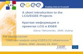 A short introduction to the LCG/EGEE Projects   Краткая информация о проектах  LCG  и  EGEE