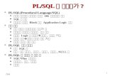PL/SQL 은 무엇인가 ?