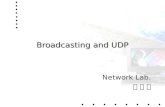 Broadcasting and UDP