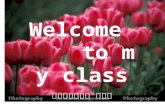 Welcome to my class 渭南市杜桥中学 王娅莉                          QQ:503120325
