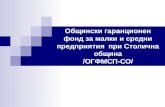 Общински гаранционен фонд за малки и средни предприятия  при Столична община /ОГФМСП-СО