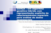 Tese de doutorado em Computação Aplicada Adair Santa Catarina