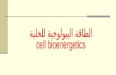 الطاقة البيولوجية للخلية cell bioenergetics