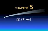 CHAPTER  5
