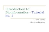 Introduction to Bioinformatics -  Tutorial no. 1