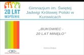 Gimnazjum im. Świętej Jadwigi Królowej Polski w Kurowicach