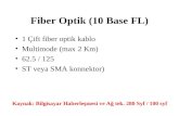 Fiber Optik (10 Base FL)