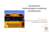 Comenius individualus mokinių mobilumas